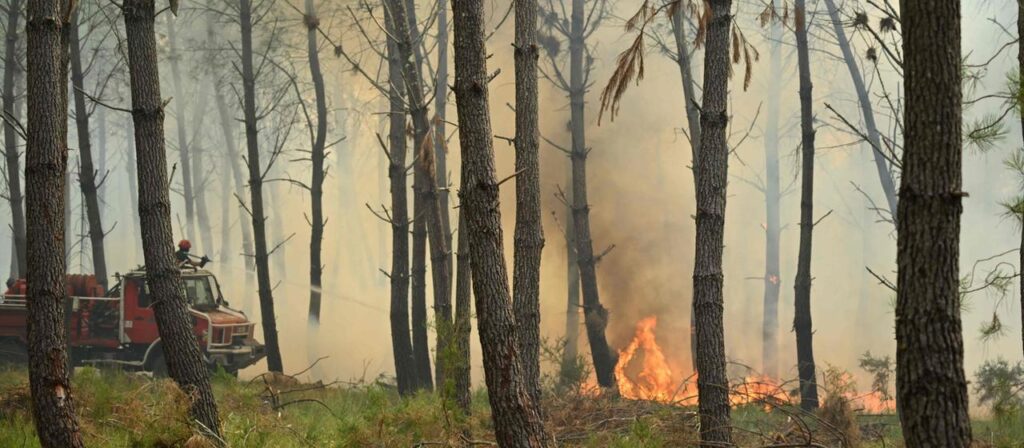 Waldbrände in Europa: Wo es gerade brennt