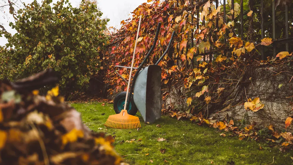 Bevor der Herbst kommt: Diese Gartenarbeiten sollten noch im September erledigt werden
