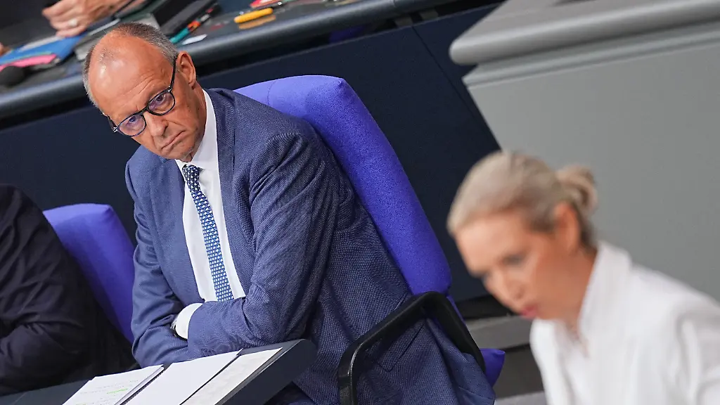 „Sehr hohe Hürde“: Merz: Pauschales AfD-Verbot würde das Problem nicht lösen