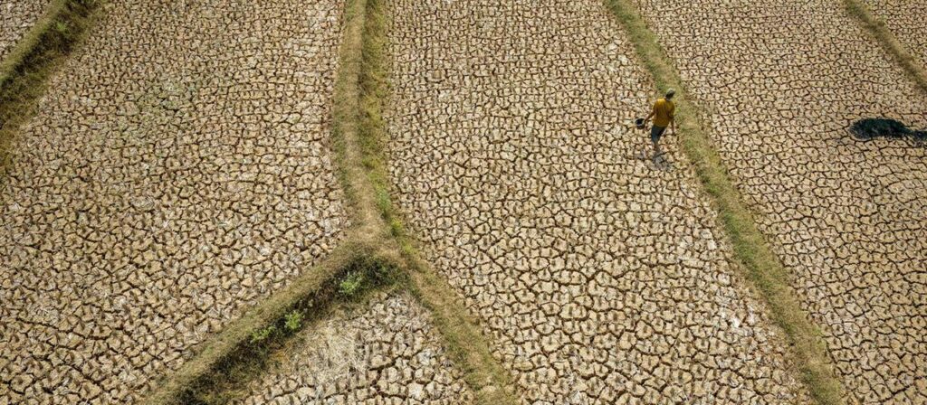 El Niño wird laut WMO-Bericht sehr stark ausfallen