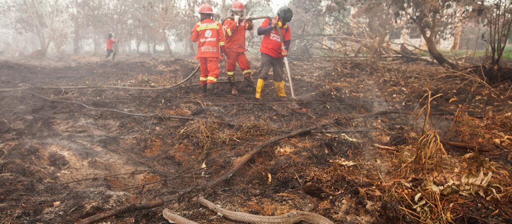 Waldbrände in Indonesien breiten sich unkontrolliert aus