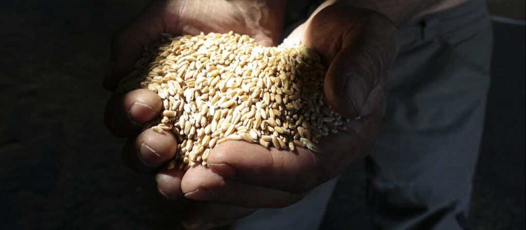 Frontstadt in der Ukraine: „Jetzt beginnt dort echter Hunger“