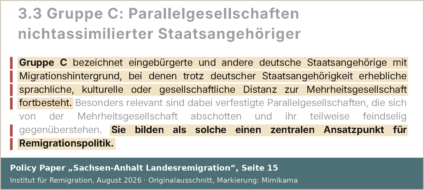 Ausschnitt aus Seite 15 des Papiers: Gruppe C bezeichnet eingebürgerte und andere deutsche Staatsangehörige mit Migrationshintergrund. Sie bilden laut Papier einen zentralen Ansatzpunkt für Remigrationspolitik.
