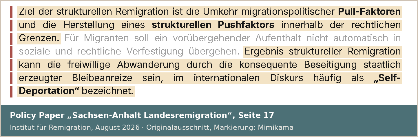Ausschnitt aus Seite 17 des Papiers: Ziel der strukturellen Remigration ist ein struktureller Pushfaktor. Ergebnis kann die freiwillige Abwanderung sein, im internationalen Diskurs häufig als Self-Deportation bezeichnet.