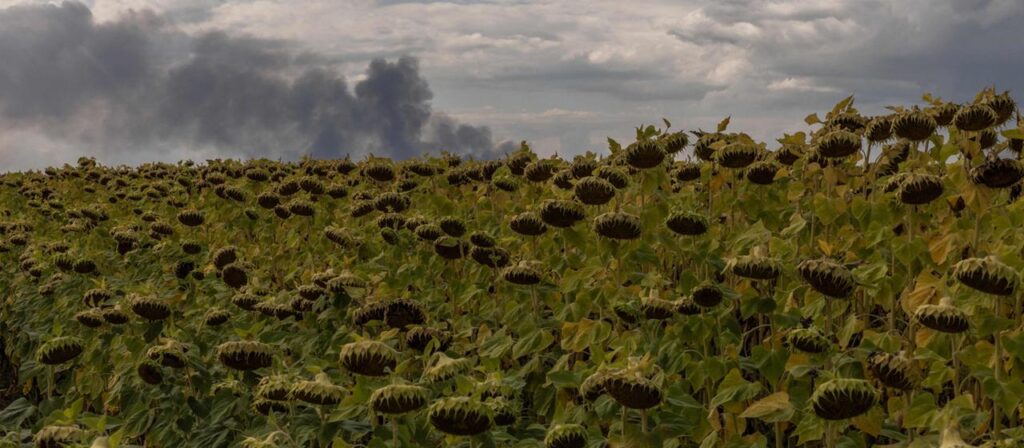 Ukrainische Wirtschaft durch Krieg unter Druck