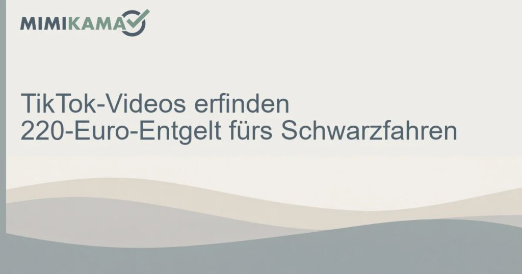 Keine 220 Euro fürs Schwarzfahren beschlossen