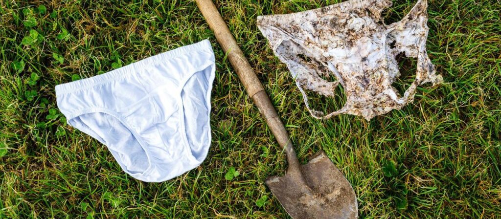 Ig-Nobelpreise: Unterhosen verbuddeln für die Wissenschaft