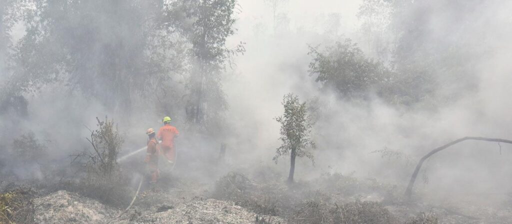 Hunderttausende Hektar Wald brennen in Indonesien