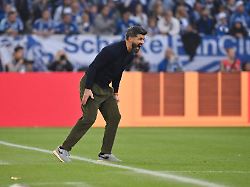Euphorie verflogen: „Unterirdisch“: Nach Heimpleite brodelt es auf Schalke schon wieder
