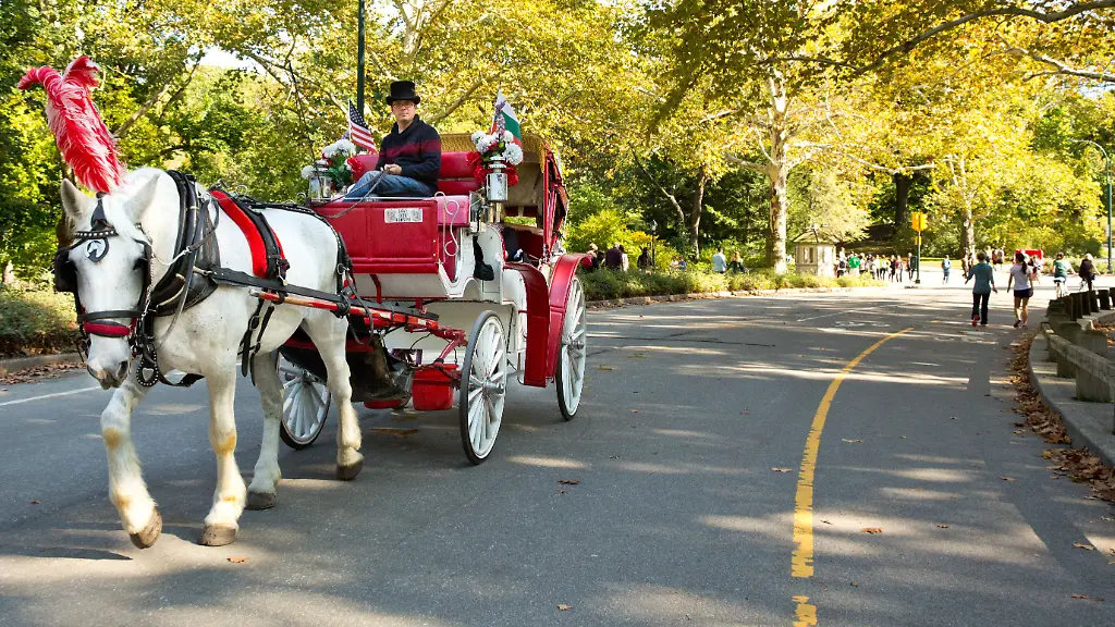Mamdani forciert Verbot: Pferdekutschen im Central Park in New York stehen vor dem Aus