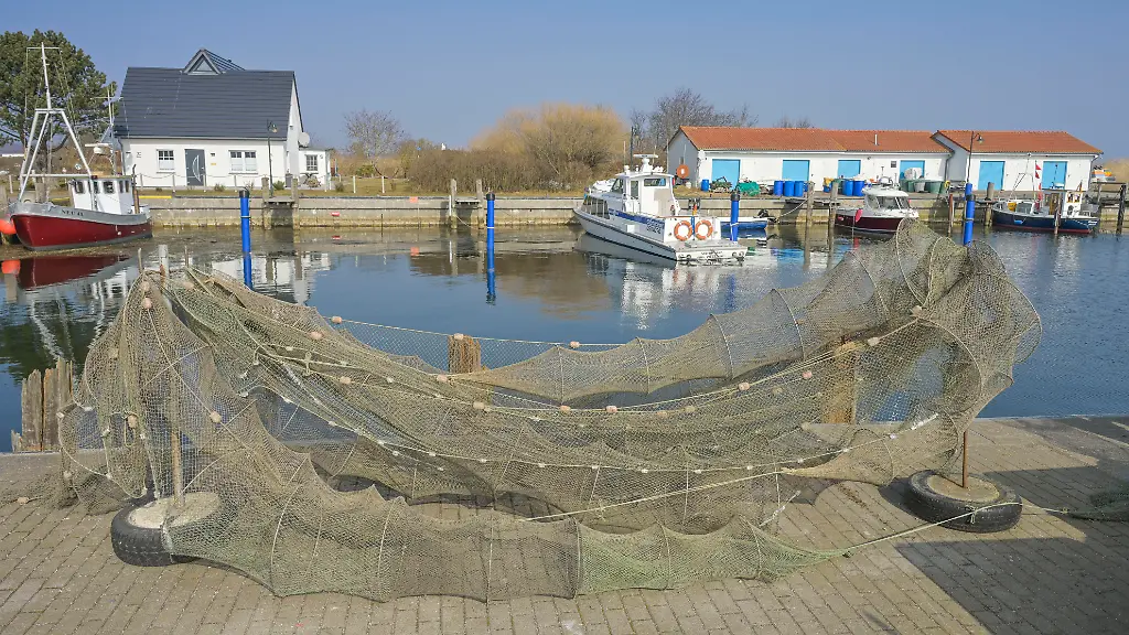 Ausnahmen drohen wegzufallen: Fischern in der Ostsee könnte „einziger Strohhalm“ genommen werden