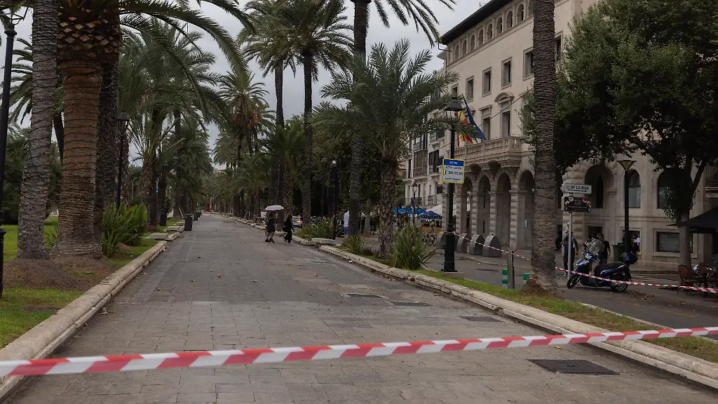 Flugausfälle, Schulen schließen: Auf Mallorca schrillt der Alarm: Höchste Sturmwarnung
