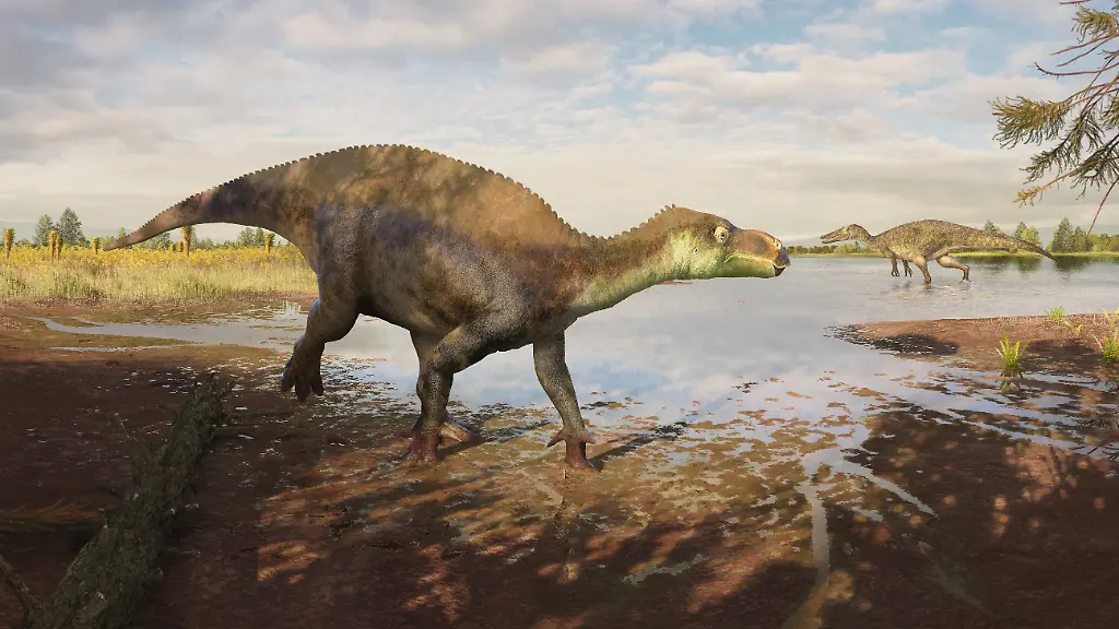 Fünf Meter langer Sumpfbewohner: Neue Dinosaurier-Art entdeckt – Fossil lag Jahrzehnte in Museum