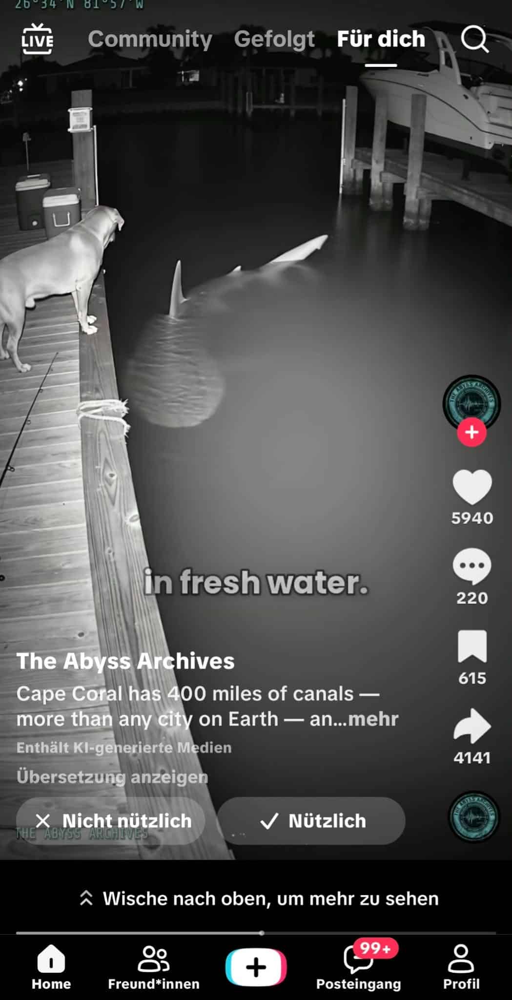 TikTok-Beitrag von The Abyss Archives mit Hai, Hund und dem Hinweis Enthält KI-generierte Medien