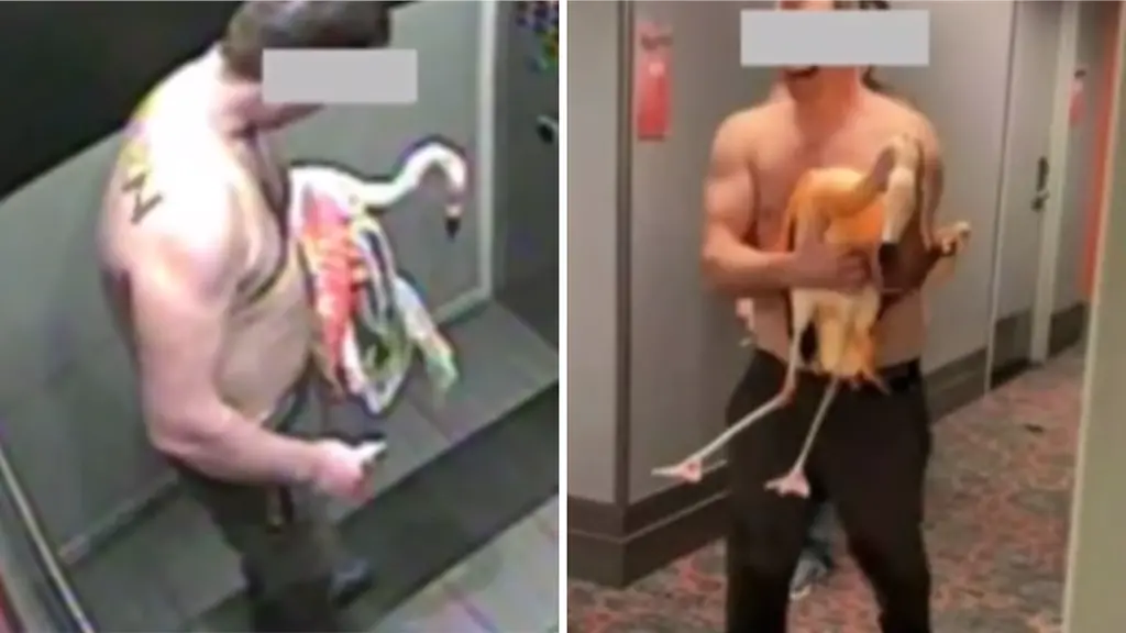 „Mitch war betrunken und dumm“: Mann für Flamingo-Entführung in Las Vegas schuldig gesprochen