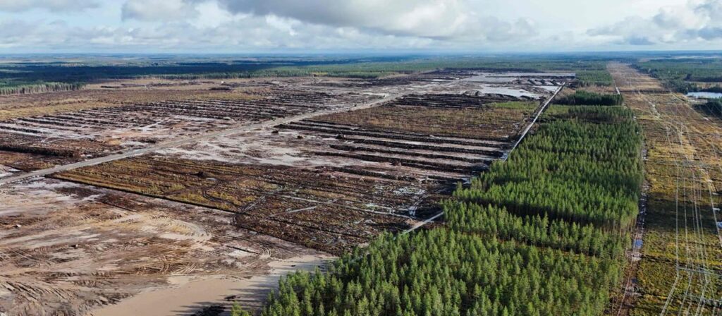 Finnland: KI-Boom auf Kosten der Natur?