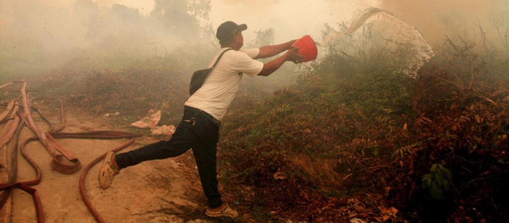 Massive Waldbrände in Indonesien – Kritik an Regierung