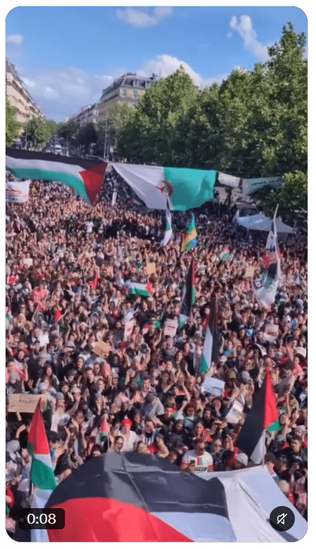 Menschenmenge mit zahlreichen Palästina-Flaggen und einer großen algerischen Flagge