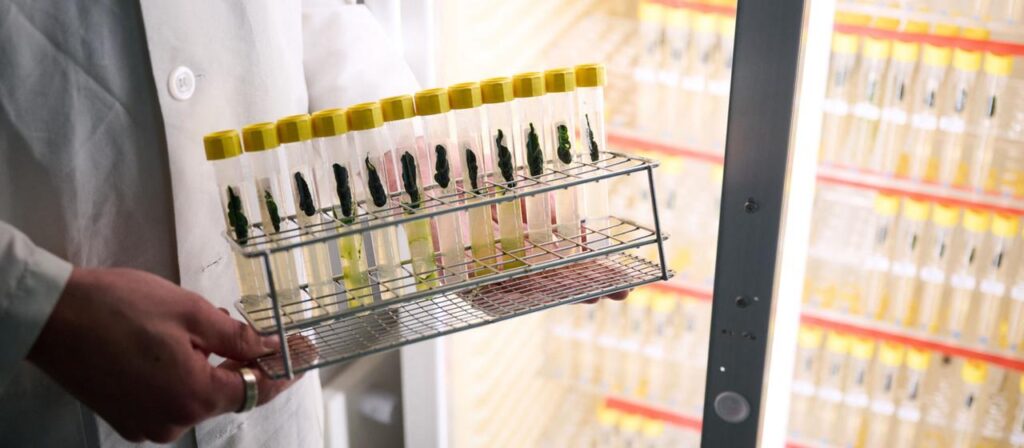 Optogenetik: Medizin-Nobelpreis für den Lichtschalter im Gehirn