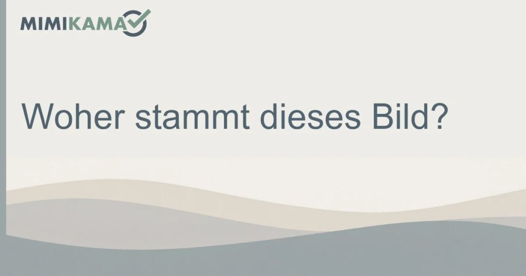 Bilder-Rückwärtssuche: So finden Sie die Quelle