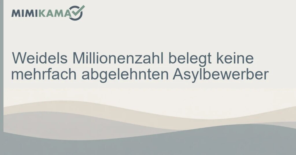 Was Weidels Millionenzahl wirklich erfasst